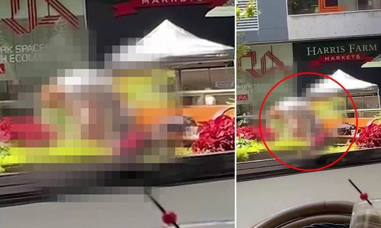 video cặp đôi tại đài phun nước